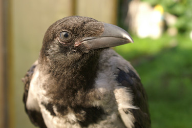 Similar image 21288462