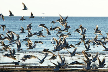 Similar image 21288463