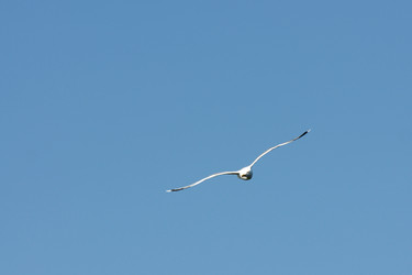 Similar image 21288465