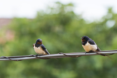 Similar image 21288466