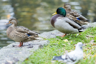 Similar image 21288467