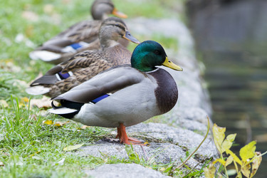 Similar image 21288468