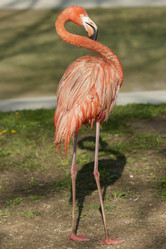 Similar image 21288472