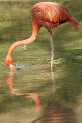 Similar image 21288473