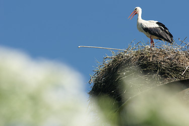 Similar image 21288476