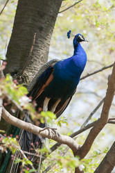 Similar image 21288478