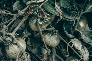 Similar image 21278367