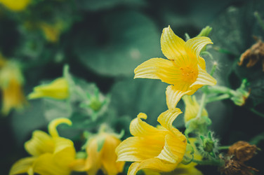 Similar image 21278368