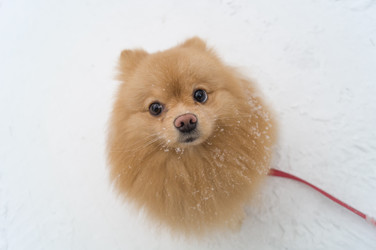 Similar image 21278369