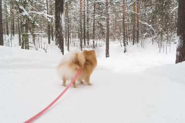 Similar image 21278370