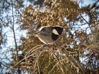 Similar image 21289897