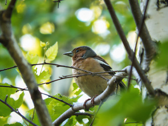 Similar image 21289898