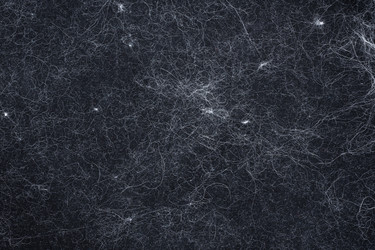 Similar image 21278571