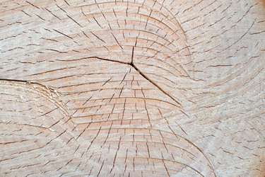 Similar image 21278577