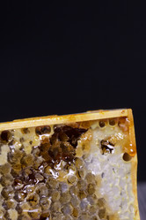 Similar image 21283608