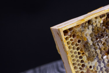 Similar image 21283609