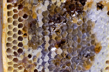 Similar image 21283611