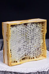 Similar image 21283617