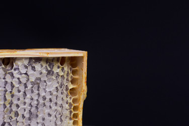 Similar image 21283618