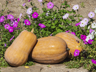 Similar image 21282624