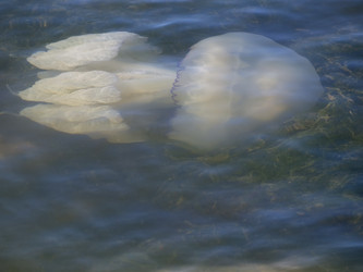 Similar image 21282626