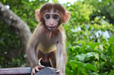 Similar image 21285294