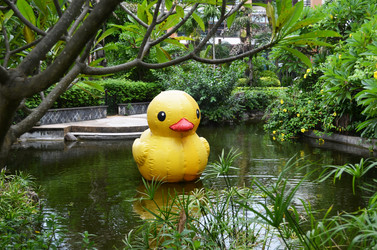 Similar image 21285295