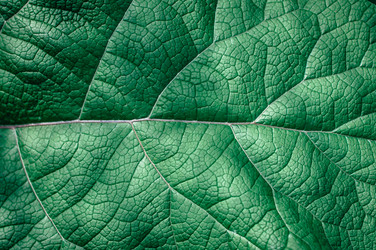 Similar image 21284087