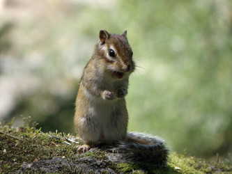 Similar image 21285297