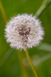 Similar image 21283621