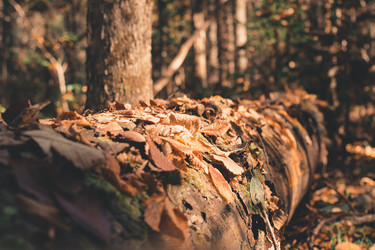 Similar image 21283624