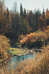 Similar image 21283625