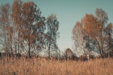 Similar image 21283626