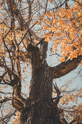 Similar image 21283629