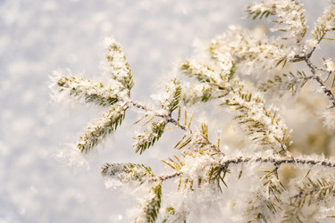 Similar image 21283630