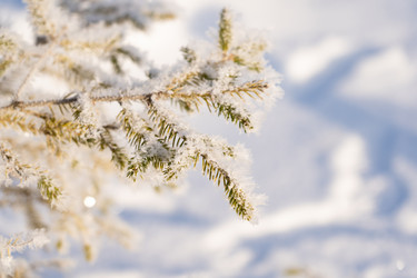 Similar image 21283631