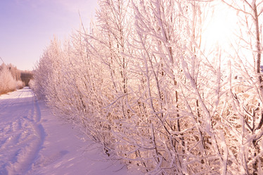 Similar image 21283634