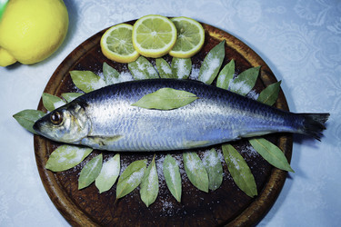 Similar image 21283572