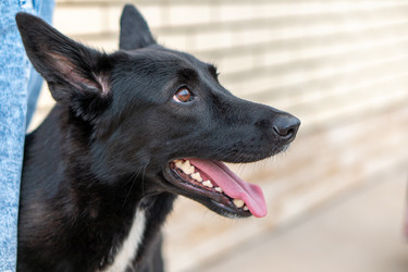 Similar image 21283638