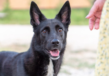 Similar image 21283644