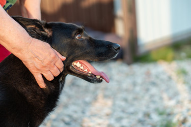 Similar image 21283645