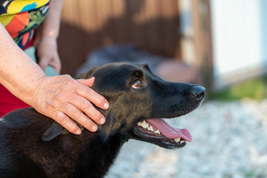 Similar image 21283646