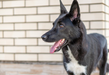 Similar image 21283648