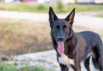 Similar image 21283649