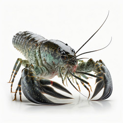 Similar image 21283659