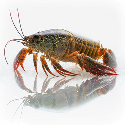 Similar image 21283661