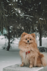 Similar image 21283577