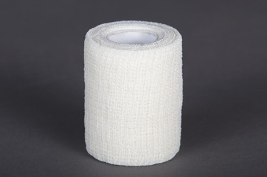 Similar image 21288533