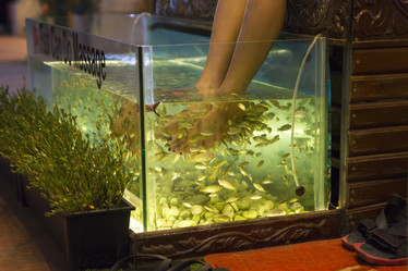 Similar image 21288488