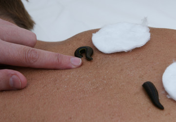 Similar image 21288490